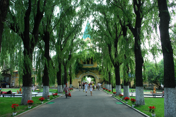 harbin spring scenery